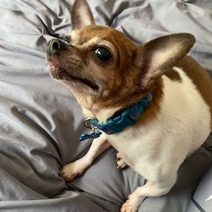 Meet your Posher, Lisa